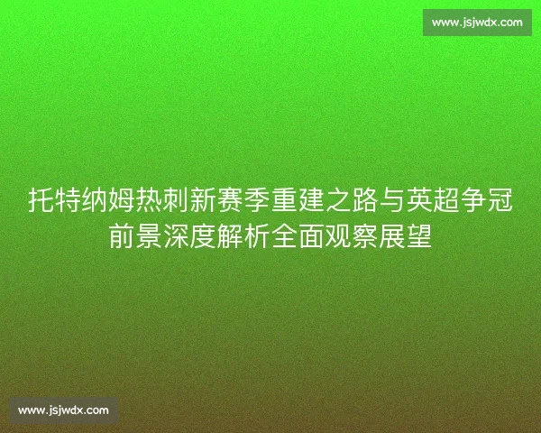 托特纳姆热刺新赛季重建之路与英超争冠前景深度解析全面观察展望